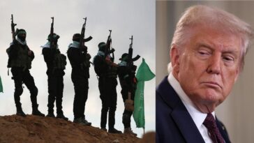 trump-designates-three-muslim-brotherhood-branches-as-terrorist-organizations