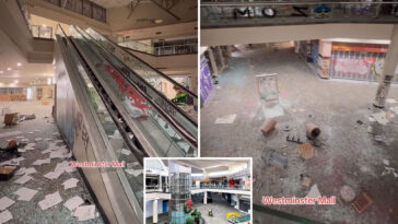 shocking-images-show-post-apocalyptic-calif.-mall-overrun-by-vandals-—-cops-were-called-over-400-times-in-3-months