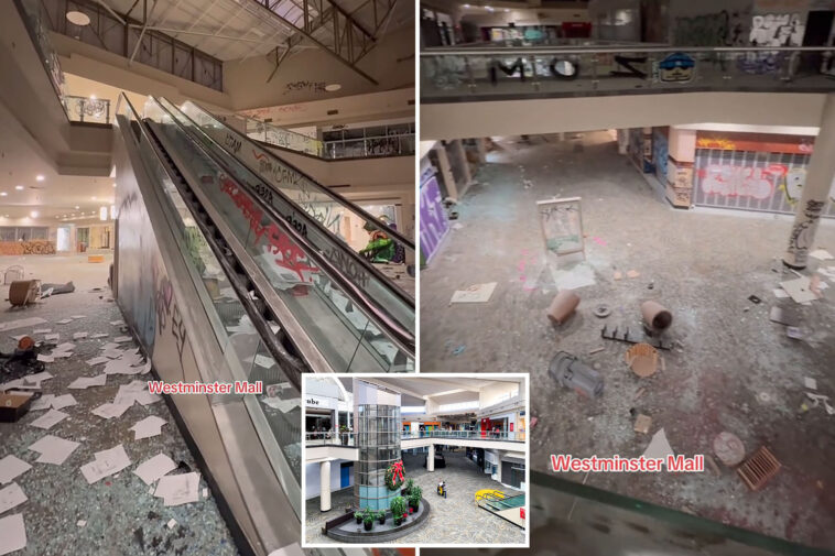 shocking-images-show-post-apocalyptic-calif.-mall-overrun-by-vandals-—-cops-were-called-over-400-times-in-3-months