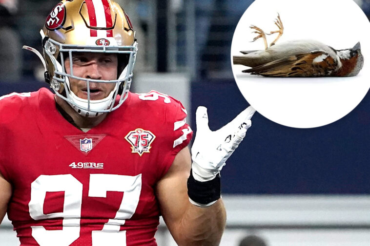nick-bosa-trolls-eagles-after-niners’-playoff-win