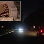 copper-wire-thieves-plunge-la-neighborhood-into-total-darkness-as-epidemic-hits-millions-in-damages