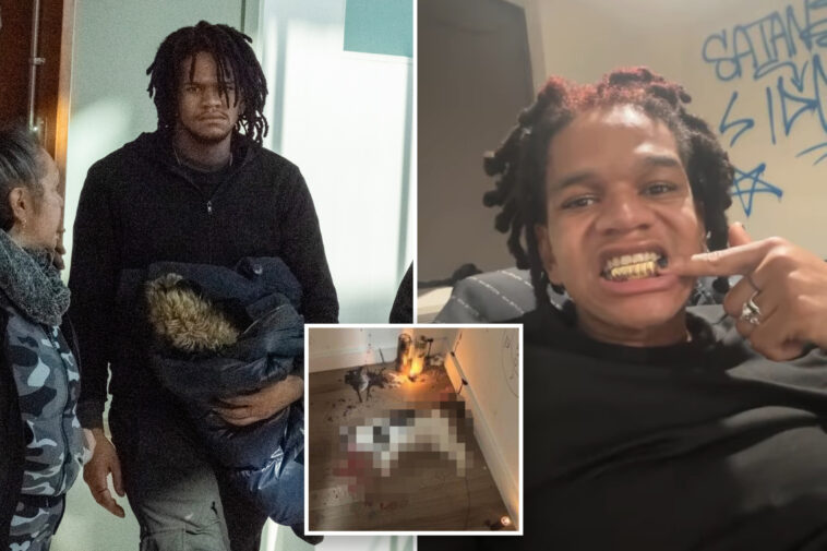 nyc-wannabe-rapper-accused-of-torturing,-killing-stray-cat-indicted-on-animal-cruelty-charges:-da