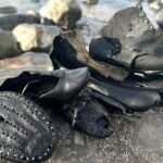 hundreds-of-mysterious-old-shoes-wash-up-on-beach-during-cleanup,-baffling-officials