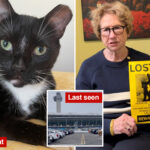 beloved-cat-still-on-the-loose-at-jfk-weeks-after-escaping-during-holiday-chaos:-‘saddest-thing-that’s-ever-happened-to-me’