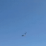 florida-paraglider-survives-500-foot-plunge-into-ocean