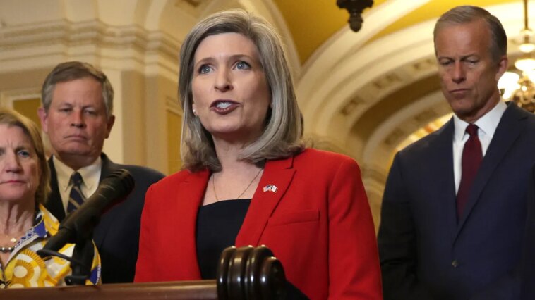 federal-fraud-faces-senate-showdown-as-thune-taps-ernst-to-lead-reforms-after-minnesota-scandal