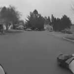 watch:-‘this-isn’t-seattle!’-–-cop-uses-painful-sternal-rub-to-stop-non-compliant-woman’s-fake-seizure-and-it’s-priceless