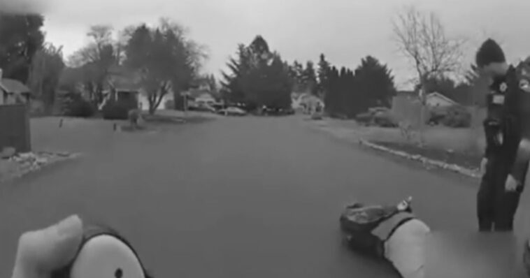 watch:-‘this-isn’t-seattle!’-–-cop-uses-painful-sternal-rub-to-stop-non-compliant-woman’s-fake-seizure-and-it’s-priceless