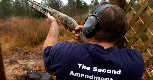 georgia-bill-allows-citizens-to-sue-local-governments-over-gun-control