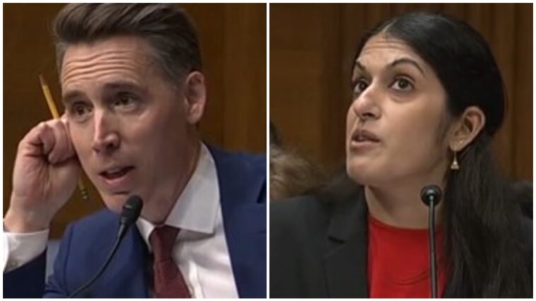 watch:-woke-doctor-falters-during-hearing-when-senator-josh-hawley-uses-her-own-words-against-her-and-asks-a-simple-question:-“can-men-get-pregnant?”