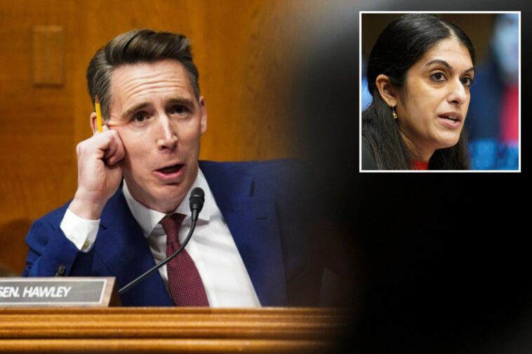 josh-hawley-skewers-doc-who-refuses-to-answer:-‘can-men-get-pregnant?’