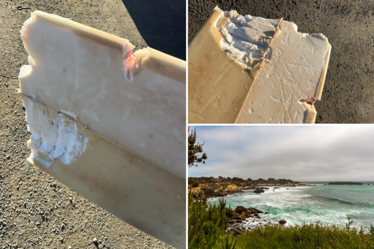 california-surfer-bitten-by-shark-in-state’s-first-2026-attack:-‘like-being-hit-by-a-car’