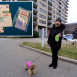 nj-condo-busts-residents-who-fail-to-pick-up-dog-poop-by-testing-it-for-dna