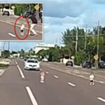 ‘terrified’-stranger-rescues-pair-of-toddlers-who-wandered-onto-busy-florida-roadway:-video