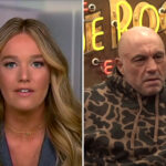 dhs-fires-back-after-joe-rogan-said-he-understands-‘point-of-view’-of-critics-comparing-ice-to-hitler’s-gestapo