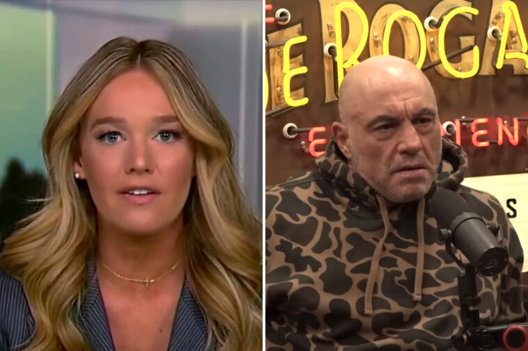 dhs-fires-back-after-joe-rogan-said-he-understands-‘point-of-view’-of-critics-comparing-ice-to-hitler’s-gestapo