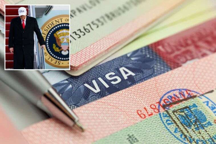 us-freezes-all-visa-processing-for-75-countries,-including-somalia,-russia,-iran