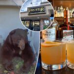 it’ll-put-hair-on-your-chest!-la-bar-creates-boozy-drink-to-honor-squatter-bear