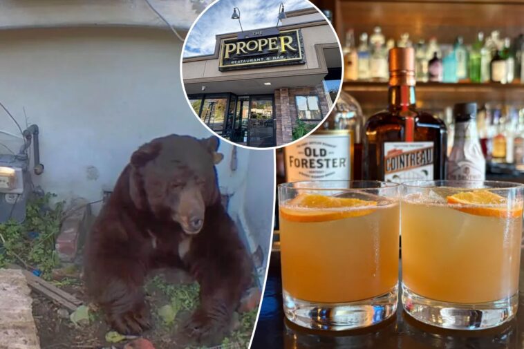 it’ll-put-hair-on-your-chest!-la-bar-creates-boozy-drink-to-honor-squatter-bear