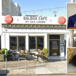 newsom-linked-san-francisco-cafe-covered-in-mouse-droppings-as-health-inspectors-demand-action
