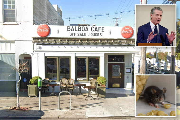 newsom-linked-san-francisco-cafe-covered-in-mouse-droppings-as-health-inspectors-demand-action