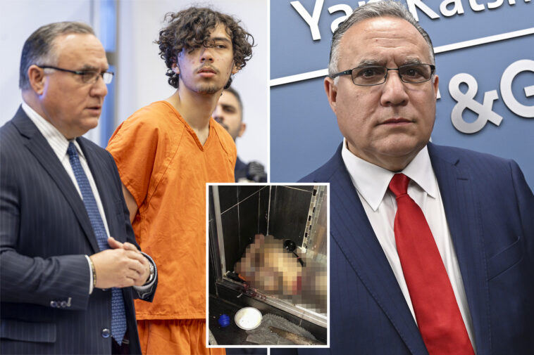 nyc-teen-charged-with-decapitating-mom’s-boyfriend-to-seek-insanity-defense:-lawyer