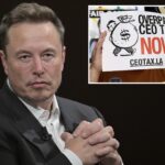 la-socialists-plot-yet-another-wealth-tax,-target-‘overpaid-ceos’-with-launch-party-outside-musk’s-tesla-diner 