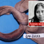 convicted-killer-charged-with-strangling-another-‘jane-doe’-to-death-inside-nyc-hotel-in-1998:-da