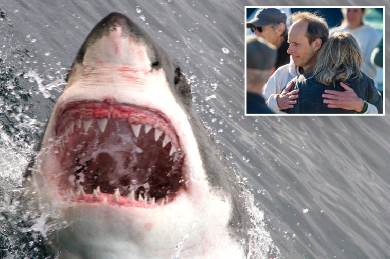 calif.-hits-terrifying-record-involving-sharks