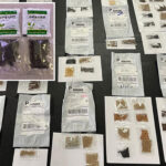 mysterious-chinese-seeds-being-mailed-to-us-homes-in-latest-scam-that-could-threaten-crops:-officials