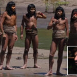 moment-uncontacted-amazon-tribe-attacked,-shot-guide-in-chest-with-arrow-is-described-by-conservationist:-‘horrific-amounts-of-blood’