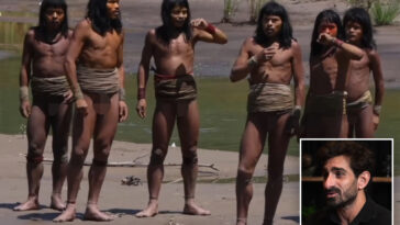 moment-uncontacted-amazon-tribe-attacked,-shot-guide-in-chest-with-arrow-is-described-by-conservationist:-‘horrific-amounts-of-blood’