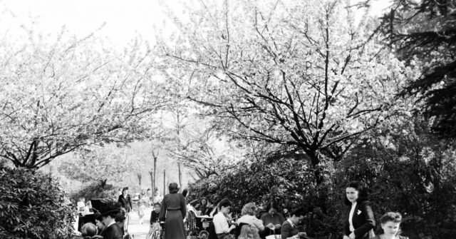 demographic-winter:-france-sees-more-deaths-than-births-for-first-time-since-ww2