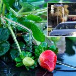 warming-shelters-for-the-homeless-are-open-as-florida-experiences-its-coldest-weather-this-winter