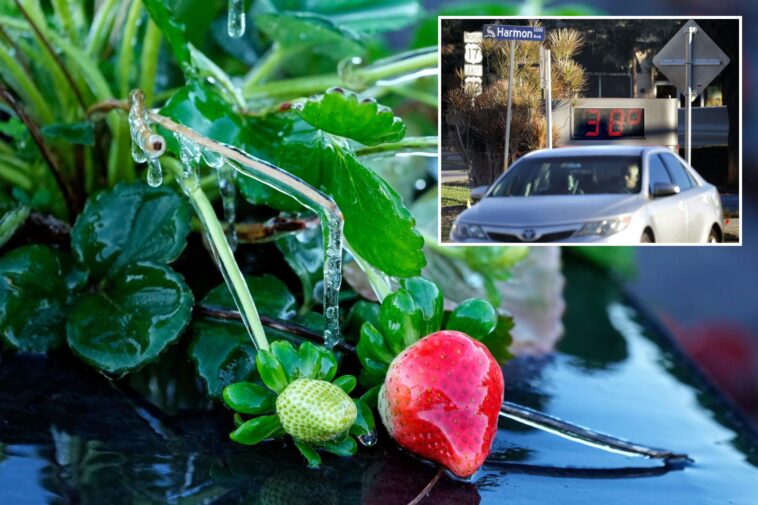 warming-shelters-for-the-homeless-are-open-as-florida-experiences-its-coldest-weather-this-winter