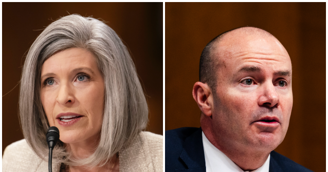 joni-ernst,-mike-lee-sound-alarm-on-alleged-fraud-by-somali-owned-rehab-center-in-minneapolis