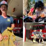 la-firefighters-forced-to-beg-voters-for-basics-as-homeless-spending-soars:-‘difference-between-life-and-death’