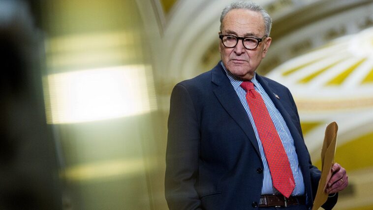 schumer-reveals-‘bipartisan’-plans-to-reverse-doge-cuts-as-lawmakers-work-through-funding-push