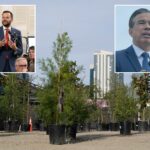 san-francisco-legislator-ignores-crime,-asks-for-state-investigation-into-trees