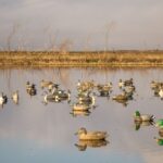 watch:-duck-hunters-get-the-last-laugh-as-screeching-woman-tries-to-chase-them-away