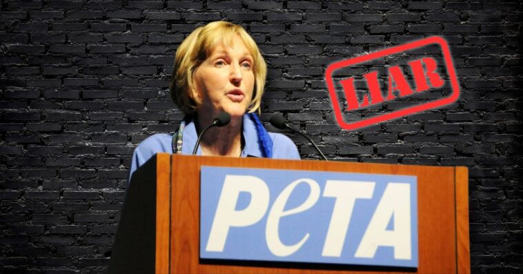 peta’s-latest-hoax-exposed:-liberal-animal-rights-group-falsely-claims-trump-funding-russian-cat-torture,-but-white-coat-waste-and-republican-lawmakers-ended-it-years-ago