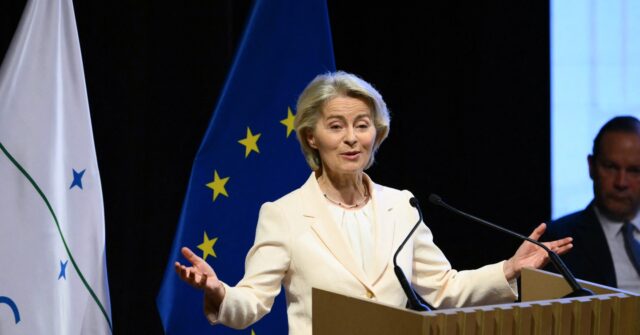 eu-signs-major-mercosur-south-american-trade-deal-despite-french-farmer-opposition