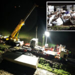 irish-town-‘shell-shocked’-after-thousands-of-live-crustaceans-spill-from-overturned-truck