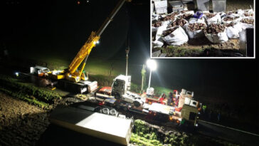 irish-town-‘shell-shocked’-after-thousands-of-live-crustaceans-spill-from-overturned-truck