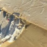 surfer-says-shark-attack-felt-‘like-being-hit-by-a-car’-as-board-bitten-in-half:-reports