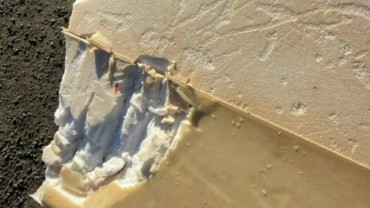 surfer-says-shark-attack-felt-‘like-being-hit-by-a-car’-as-board-bitten-in-half:-reports