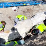 dinosaur-fossils-unearthed-during-parking-lot-construction-at-national-park