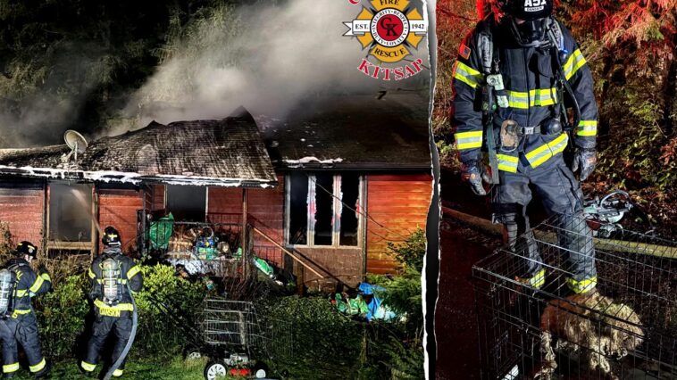 dozens-of-dogs-killed-in-fire-at-home-of-‘breeder’-in-washington-state,-firefighters-rescue-3-from-flames