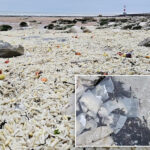hundreds-of-thousands-of-french-fries-wash-up-on-uk-beach-as-cleaners-struggle-to-catch-up