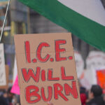 socialists-planning-to-replicate-minneapolis-chaos-to-combat-ice-sweeps-in-new-york-city